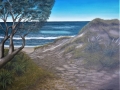 Tranquil Beach Track
