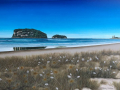 Clark Island view- Whangamata