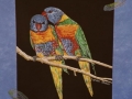 Lorikeets in love